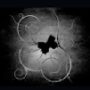 Meet your Posher, Fabiola